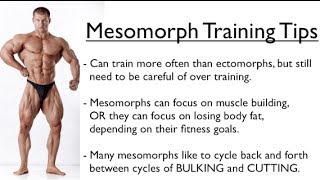 Ectomorph Endomorph or Mesomorph  Training for YOUR Body Type [upl. by Etteniotnna]