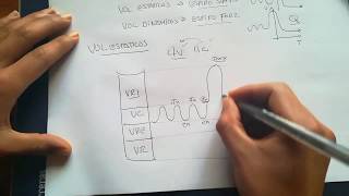 1 FISIOLOGÍA RESPIRATORIA  VOLÚMENES PULMONARES [upl. by Tonnie]