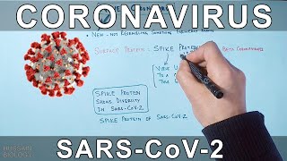 Coronavirus  SARS CoV2 [upl. by Rainer]