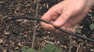 Drip Irrigation Basics [upl. by Roley]