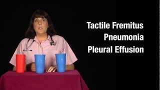 Tactile Fremitus Cups Demonstration [upl. by Cardon]