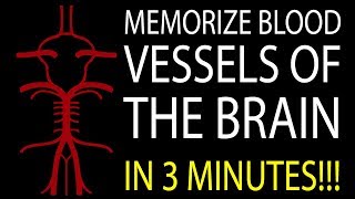 MNEMONIC Brains Blood Supply MEMORIZE in 3 Minutes [upl. by Eimarej]