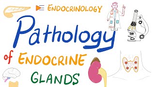 Pathology Basics of Endocrinology [upl. by Elohcim953]