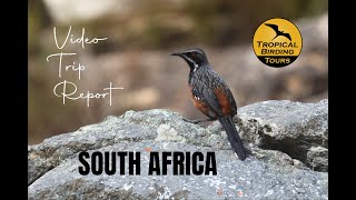 SOUTH AFRICA  Video Trip Report [upl. by Nevets]