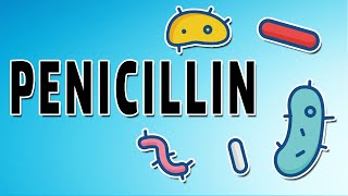 Penicillin Mechanism and Side Effects [upl. by Latsyrcal]