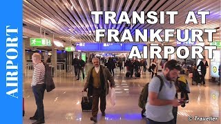 TRANSIT WALK AT FRANKFURT Airport FRA Terminal 1  Connection Flight Transfer Arriving amp Departing [upl. by Gninnahc]