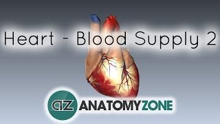 Blood supply to the heart  PART 2  Anatomy Tutorial [upl. by Jessee734]