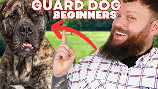 The Best GUARD DOG BREEDS FOR FIRST TIME OWNERS [upl. by Aztinad973]