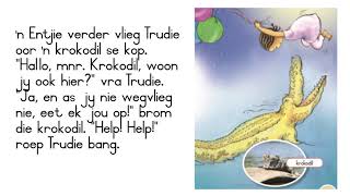 Graad 3  Afrikaans  Lees 1 [upl. by Kaya257]