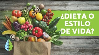 Diferencia entre VEGANO VEGETARIANO y CRUDIVEGANO [upl. by Biddle500]