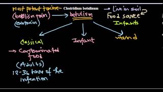 Clostridium botulinum infection [upl. by Danete]