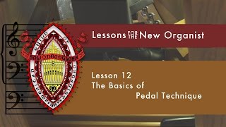 Lesson 12 The Basics of Pedal Technique [upl. by Oiramat662]