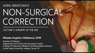 Lecture 33 Nonsurgical Correction of Aural Hematoma [upl. by Sorensen663]